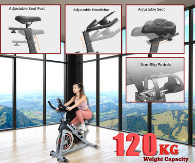 Indoor Exercise bike with Device Mount
