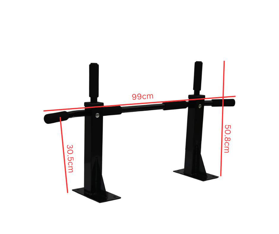 Wall Mounted Pull Up Bar