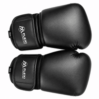 Boxing Training Gloves