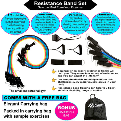 Resistance Bands Sets with Handles and Door Anchor.