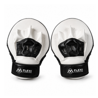 Boxing Focus Punching Mitts.