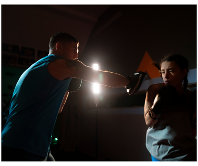 Boxing Training Gloves