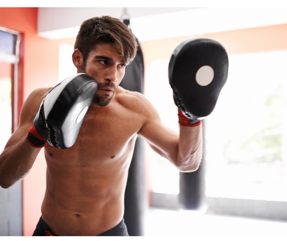 Boxing Focus Punching Mitts.