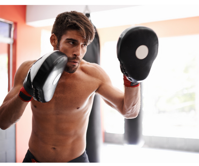 Boxing Focus Punching Mitts.