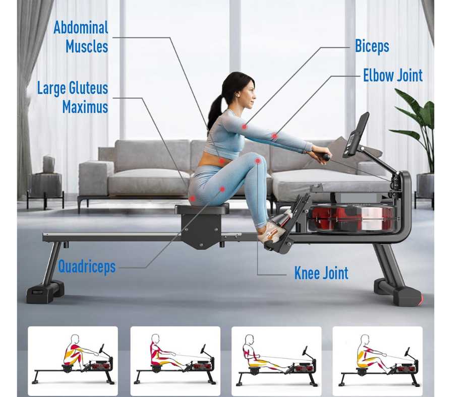 Flexi Muscles – Water Rowing Machine for Home Gym.
