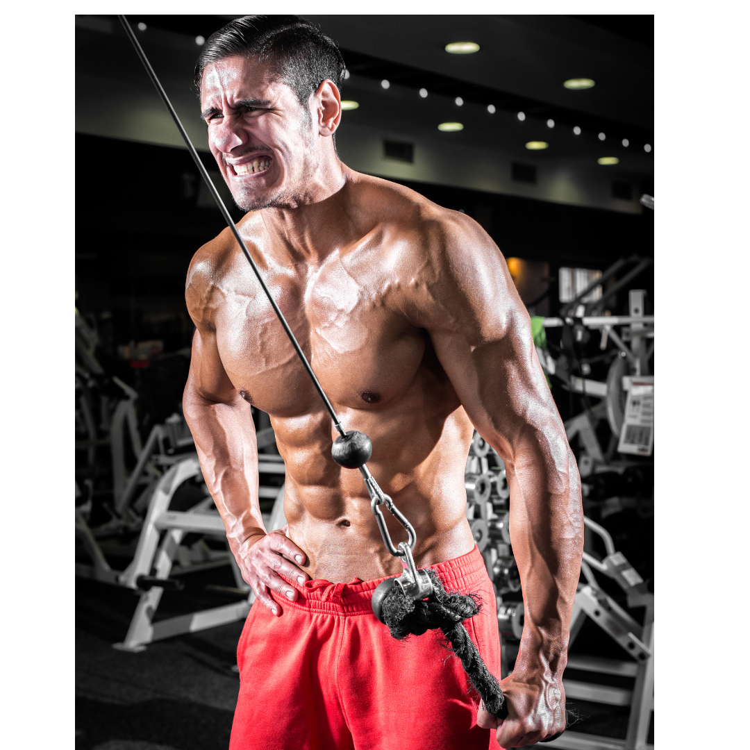 Tricep Pull Down Rope for Cable Machine.