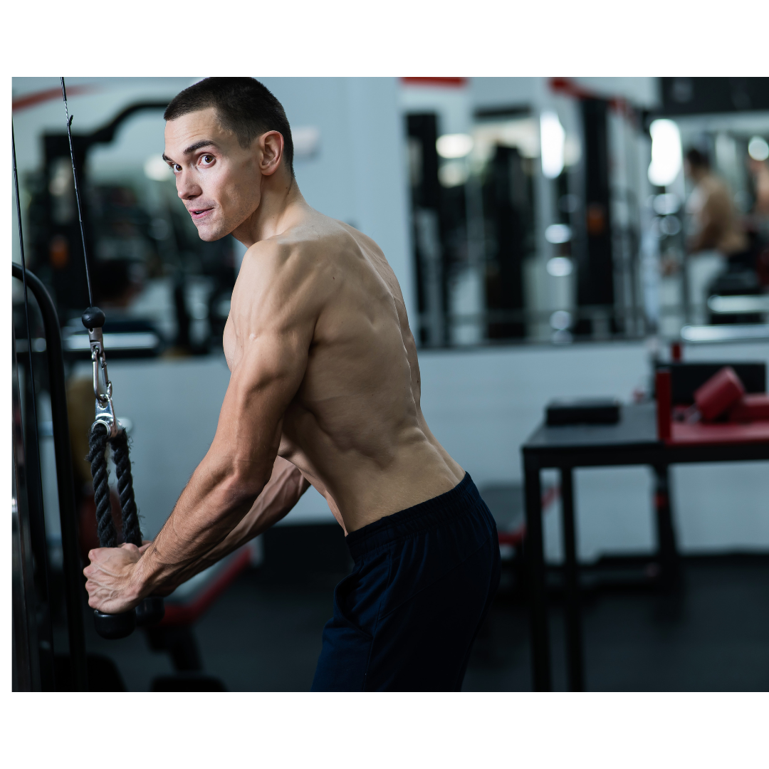 Tricep Pull Down Rope for Cable Machine.