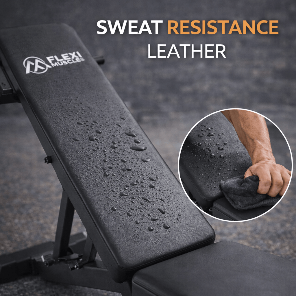 bench in the gym