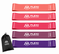 Workout Resistance Bands Set