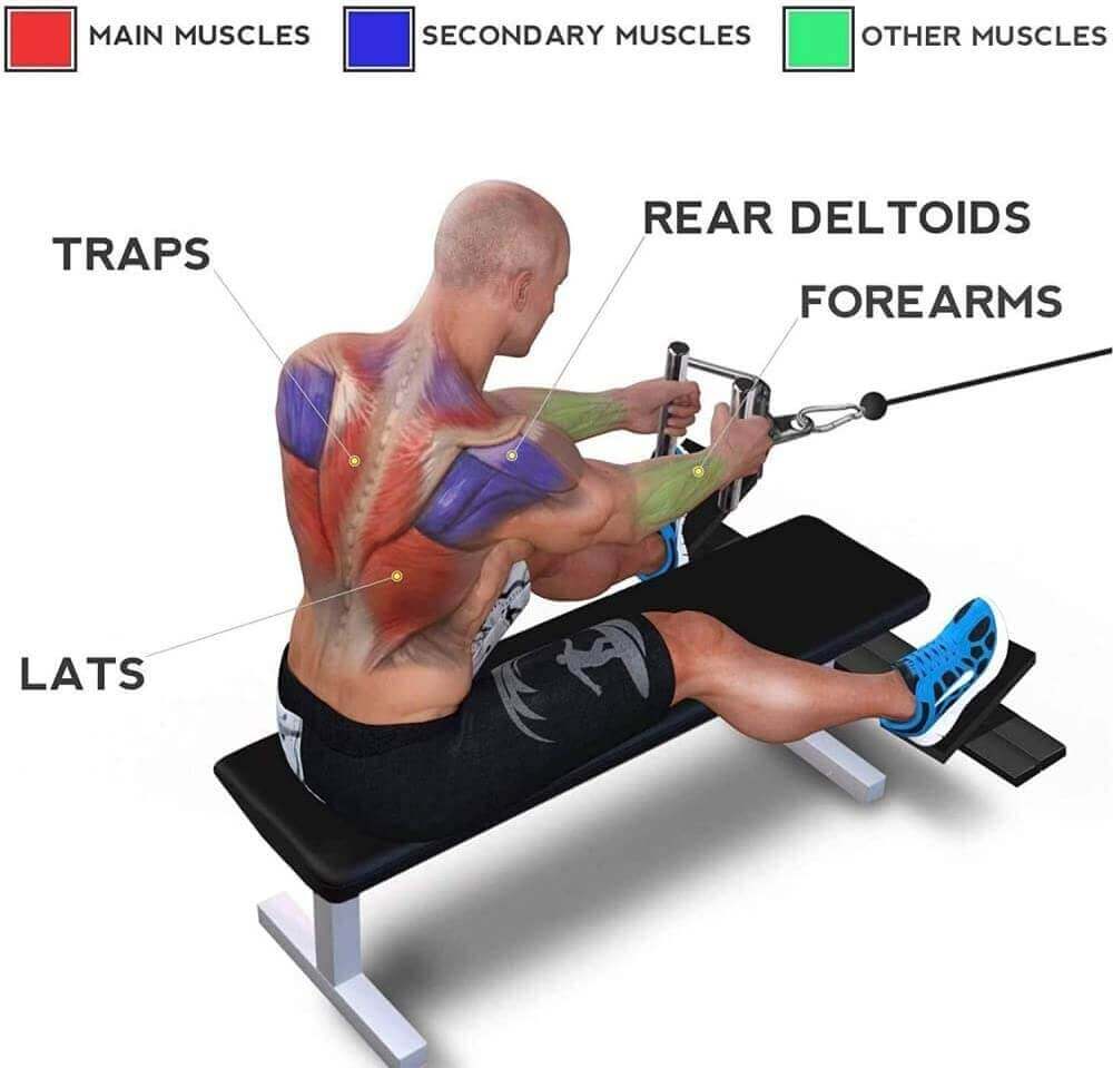 Handle Muscles Flexi Muscles - LAT Pull Down Attachment V - Shaped Handle.