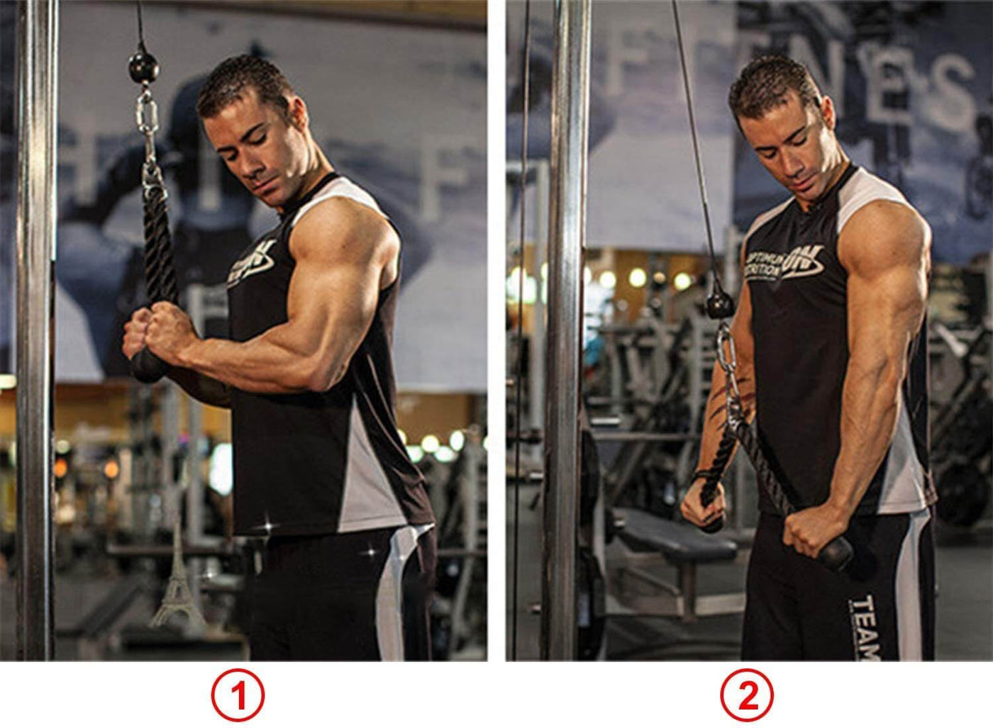 Tricep Pull Down Rope for Cable Machine.