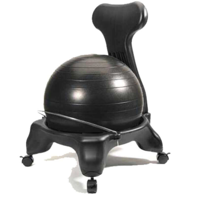 Flexi Muscles Chair With Balance Ball For Home And Office